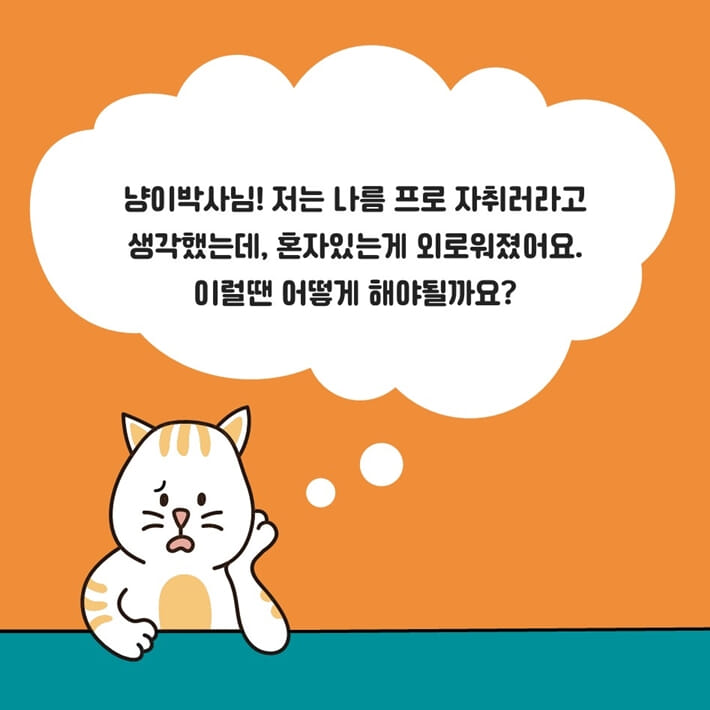 카드뉴스4