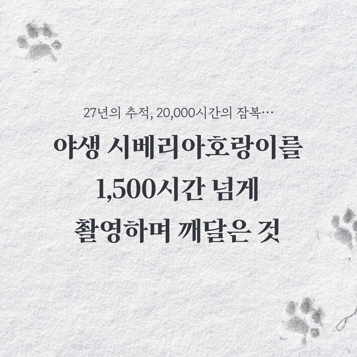 카드뉴스0