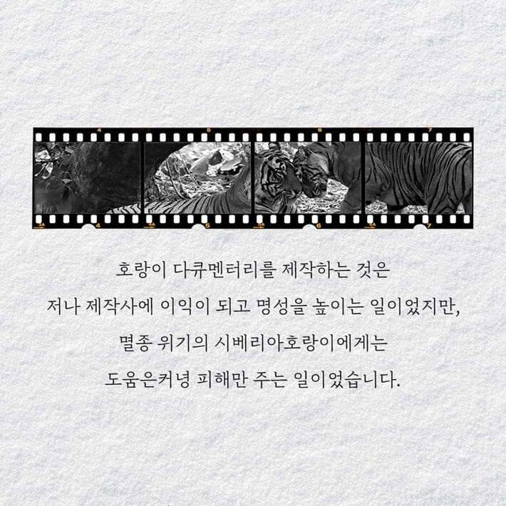 카드뉴스2