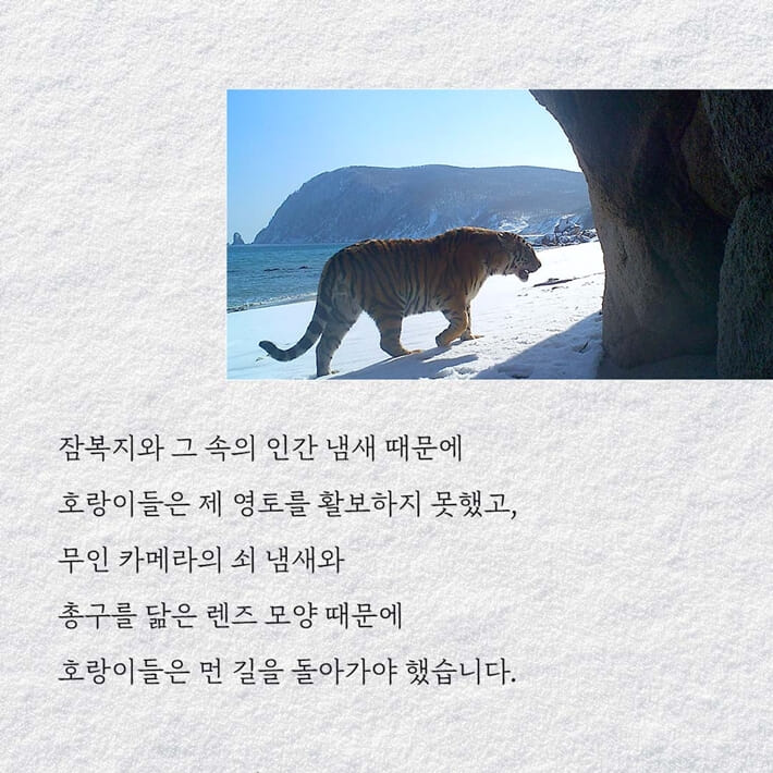카드뉴스3