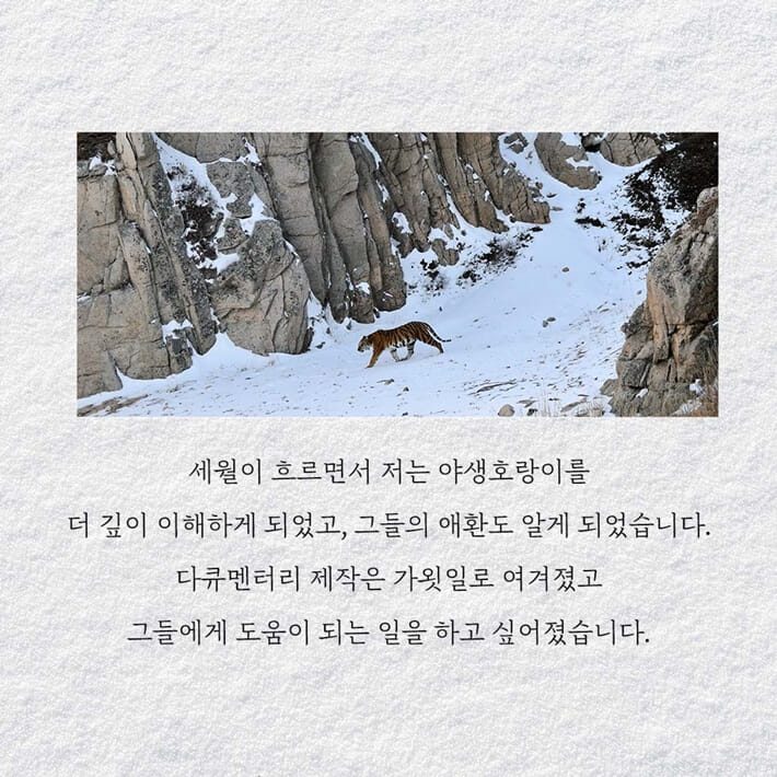 카드뉴스4