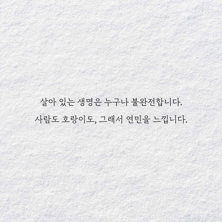 카드뉴스6