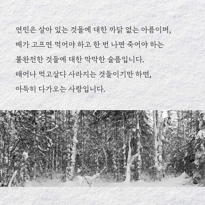 카드뉴스7