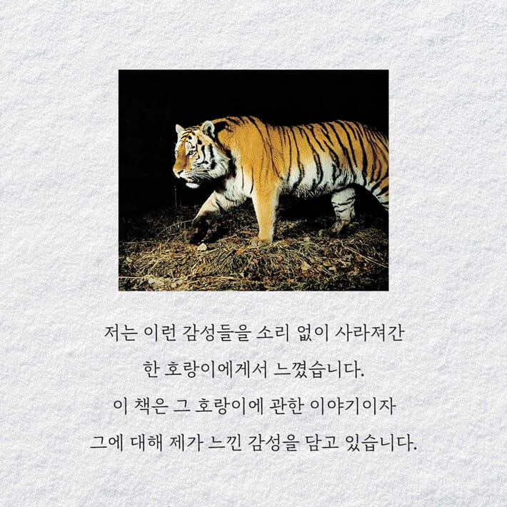 카드뉴스8