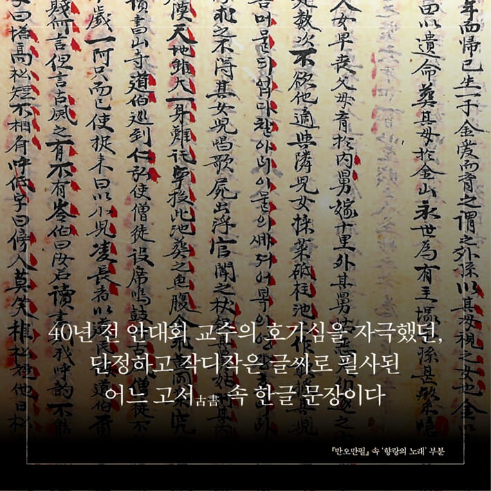 카드뉴스2