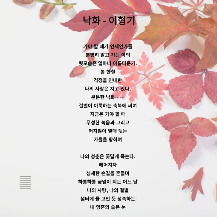 카드뉴스2