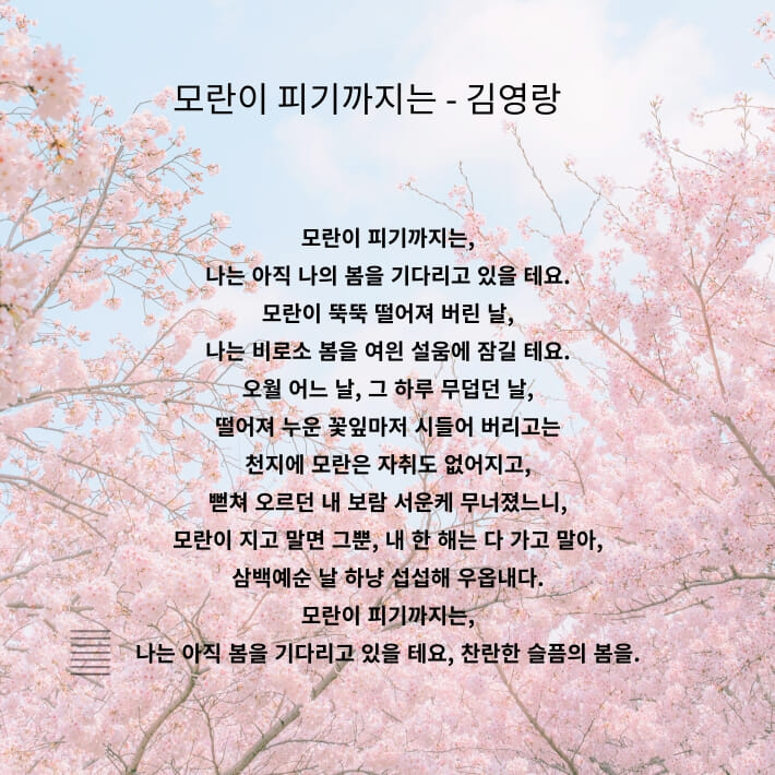카드뉴스6