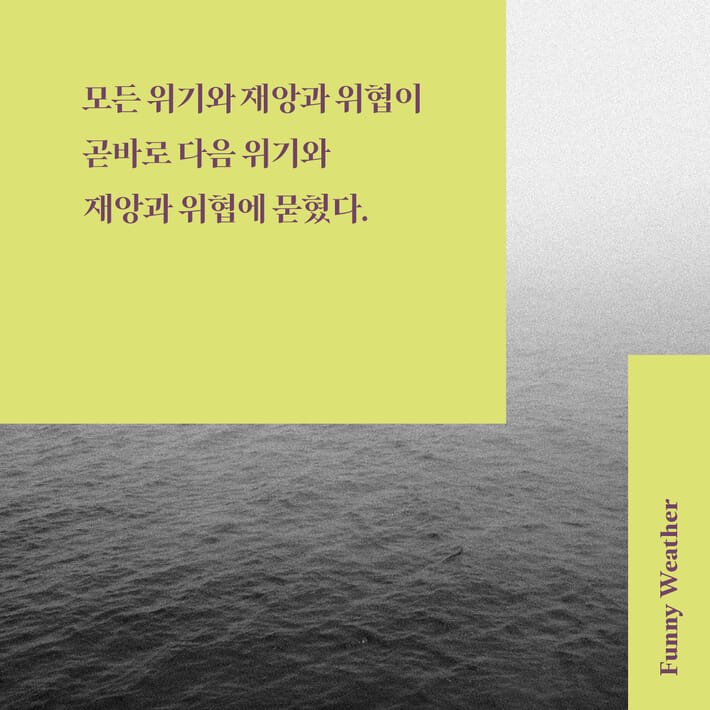 카드뉴스2