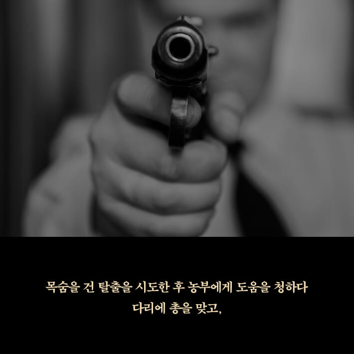 카드뉴스6
