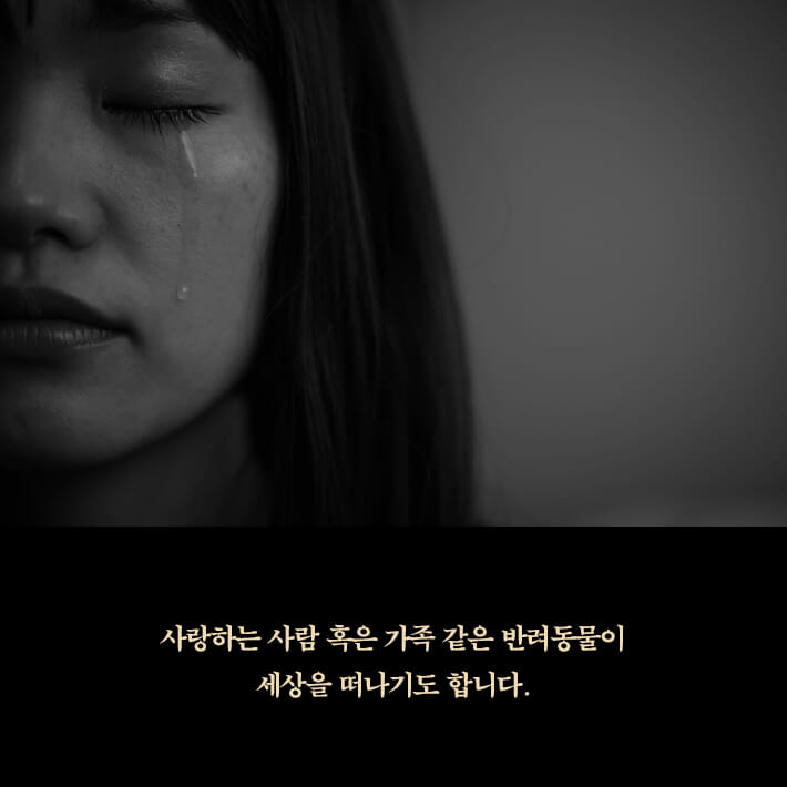 카드뉴스13