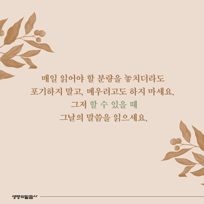 카드뉴스5