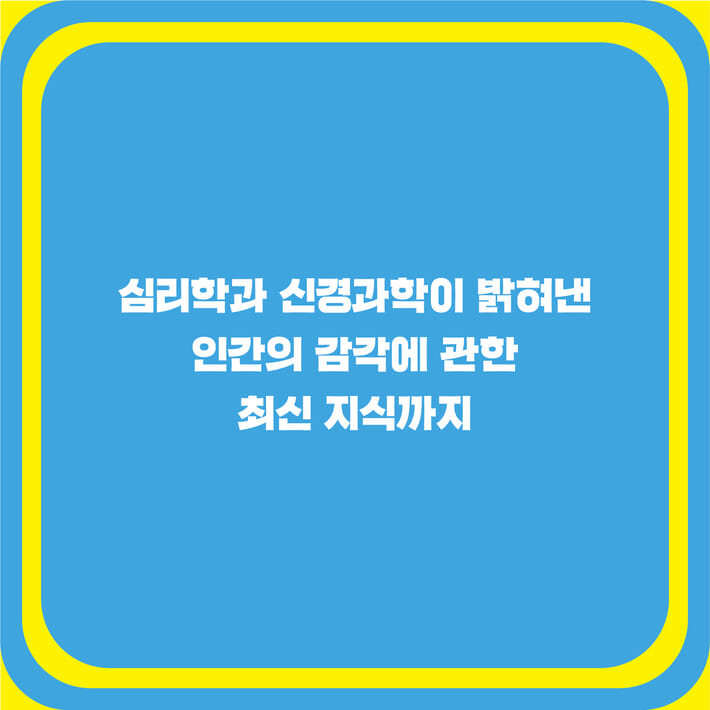 카드뉴스6