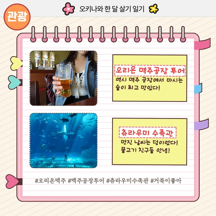 카드뉴스2