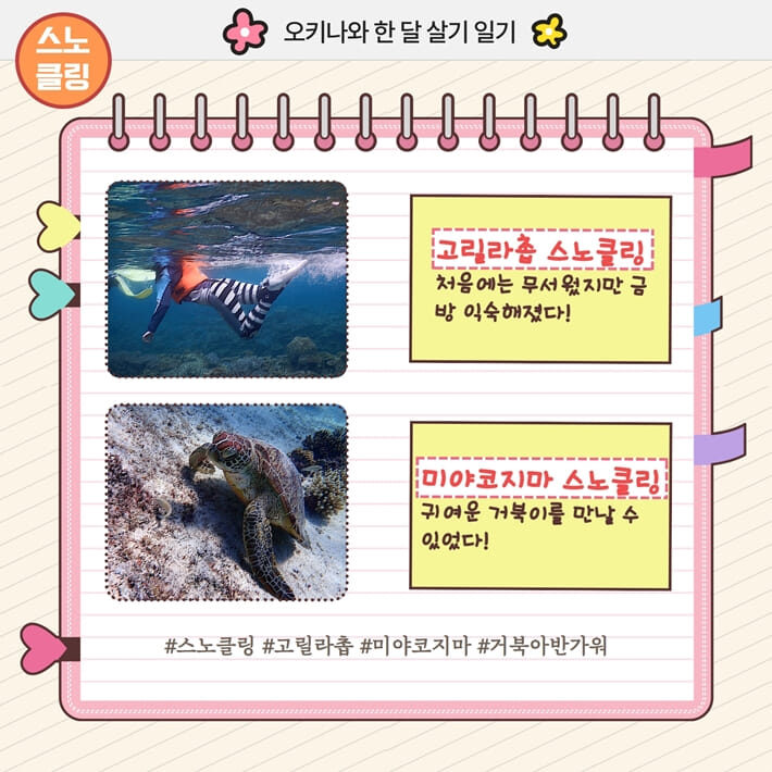 카드뉴스5