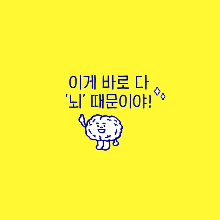 카드뉴스8