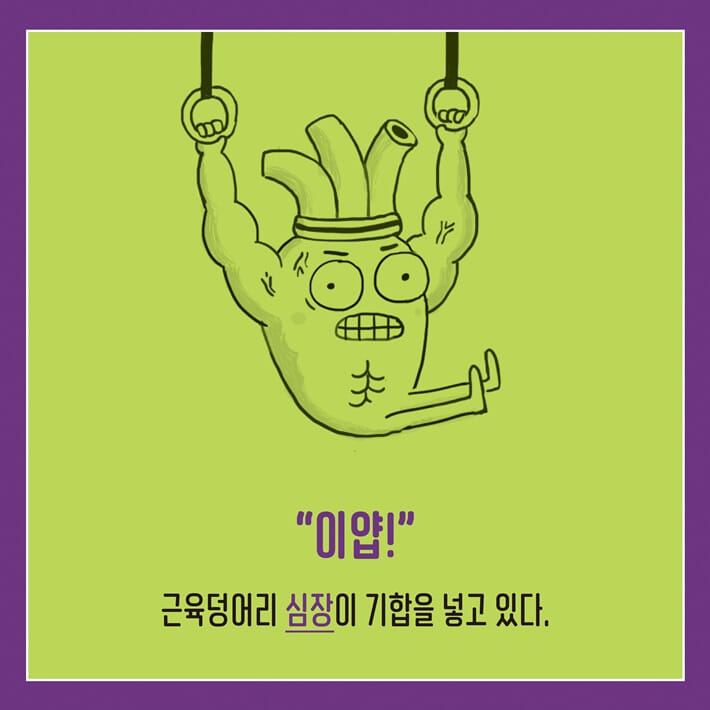 카드뉴스3