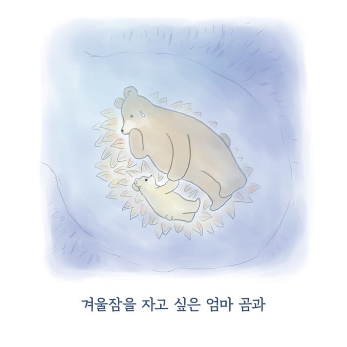 카드뉴스5