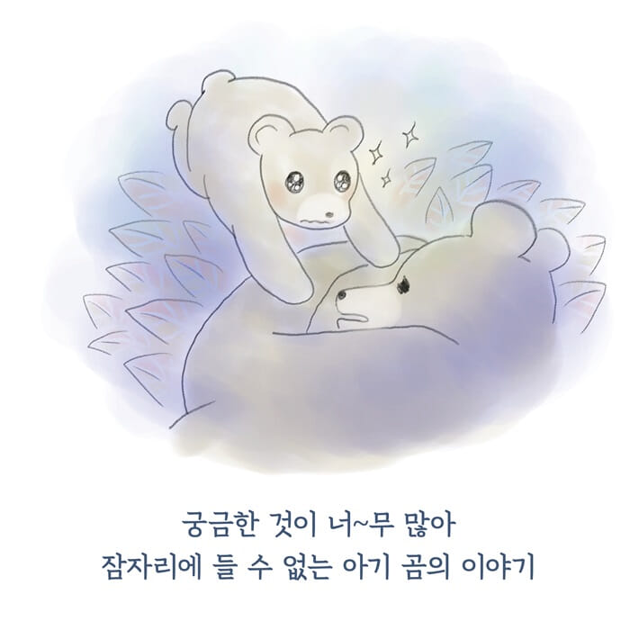 카드뉴스6