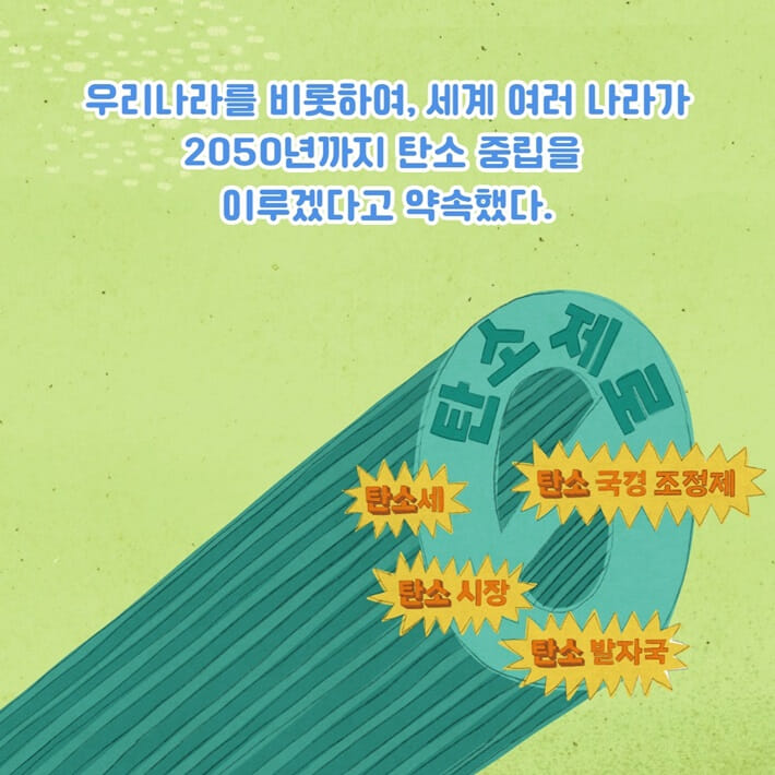 카드뉴스5