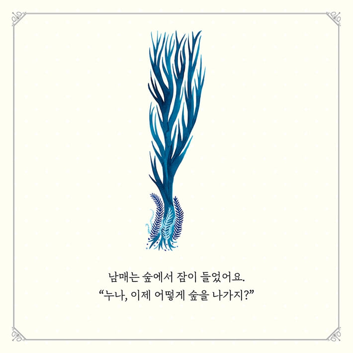 카드뉴스4