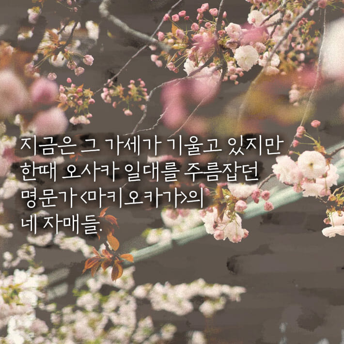 카드뉴스0