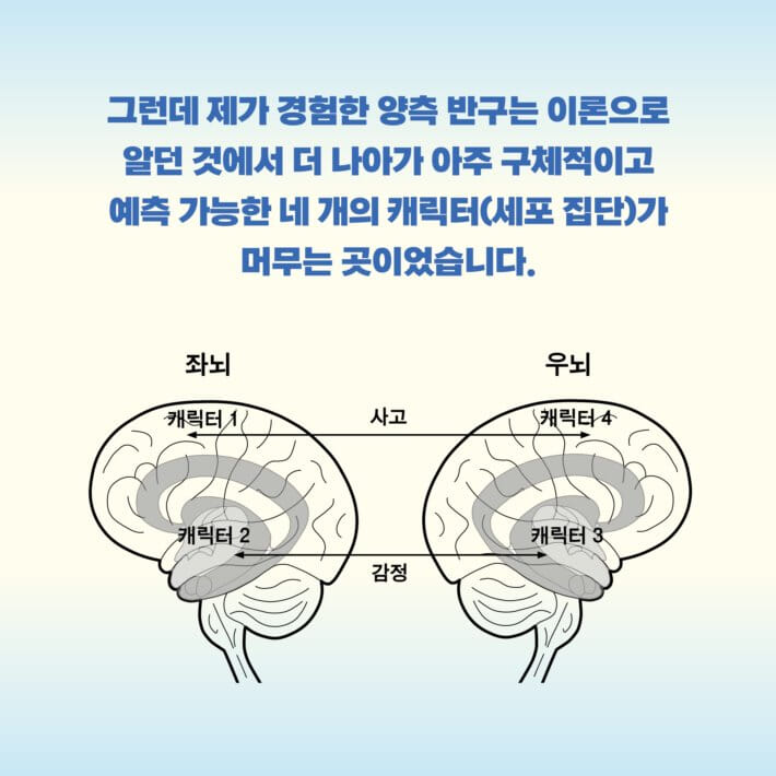 카드뉴스6