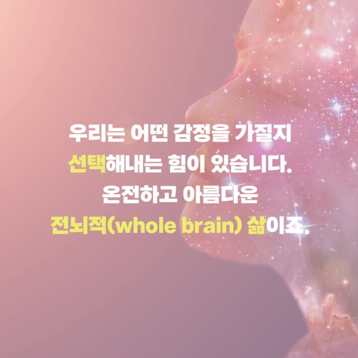 카드뉴스8