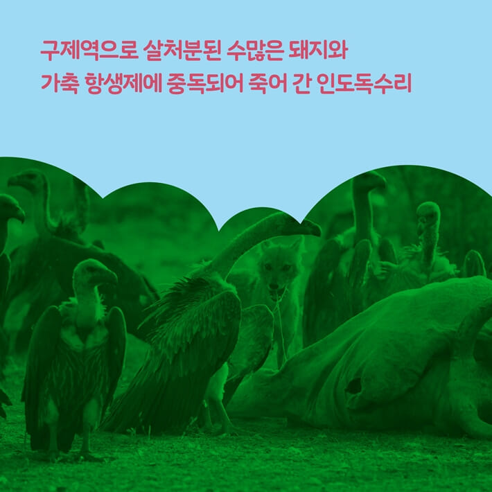 카드뉴스2