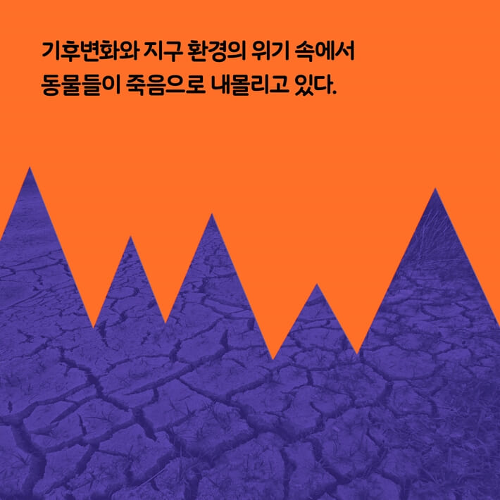 카드뉴스3