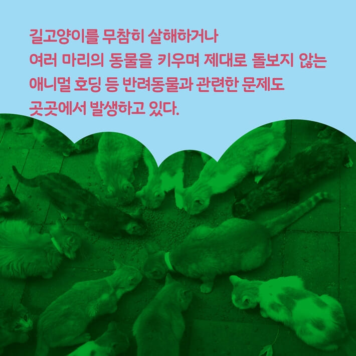 카드뉴스4