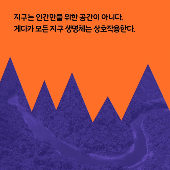 카드뉴스5