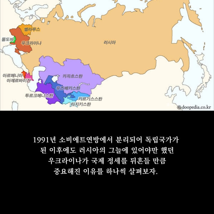 카드뉴스2