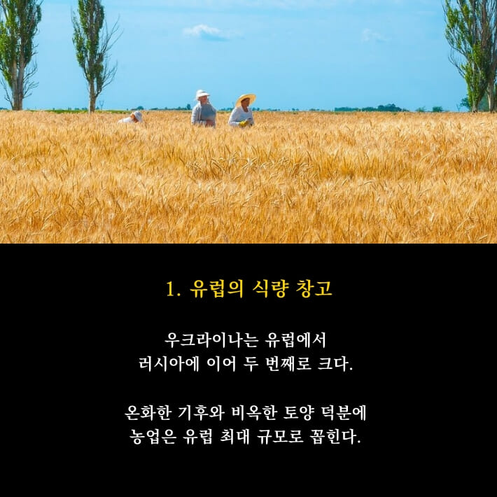 카드뉴스4