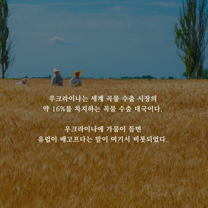 카드뉴스5