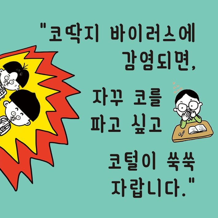 카드뉴스2
