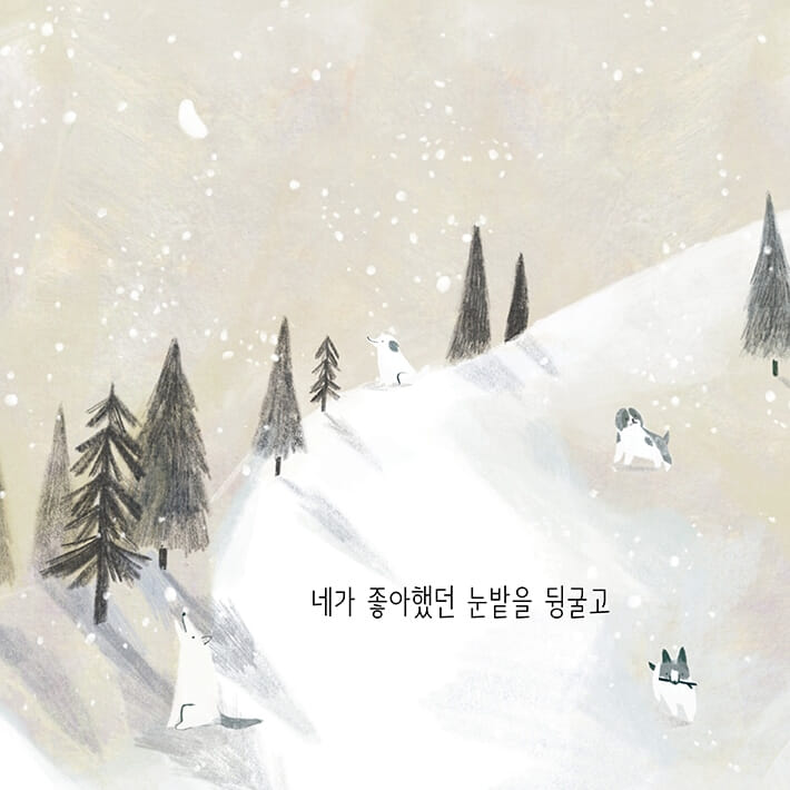 카드뉴스5
