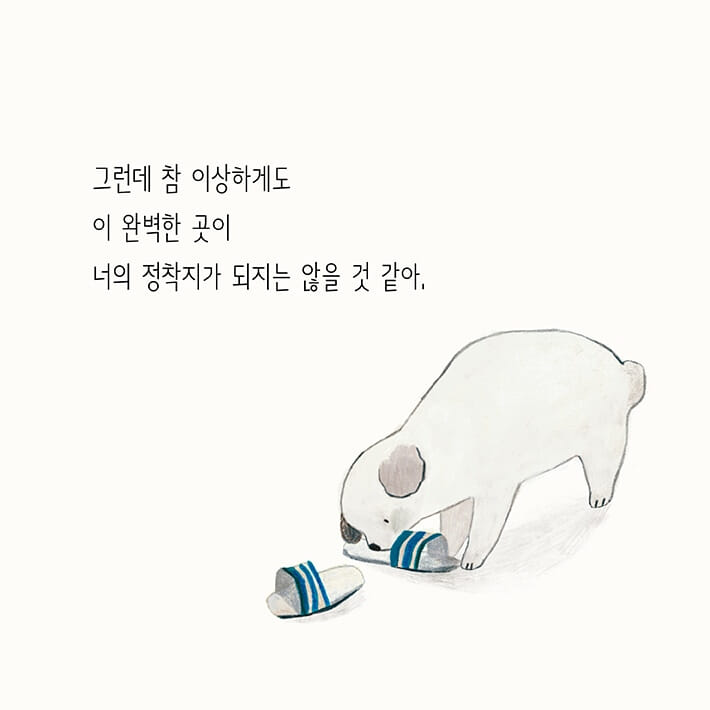 카드뉴스7