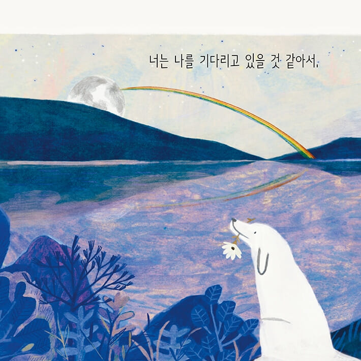 카드뉴스8