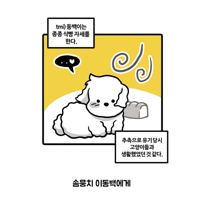 카드뉴스2
