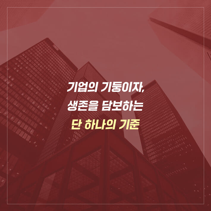 카드뉴스12