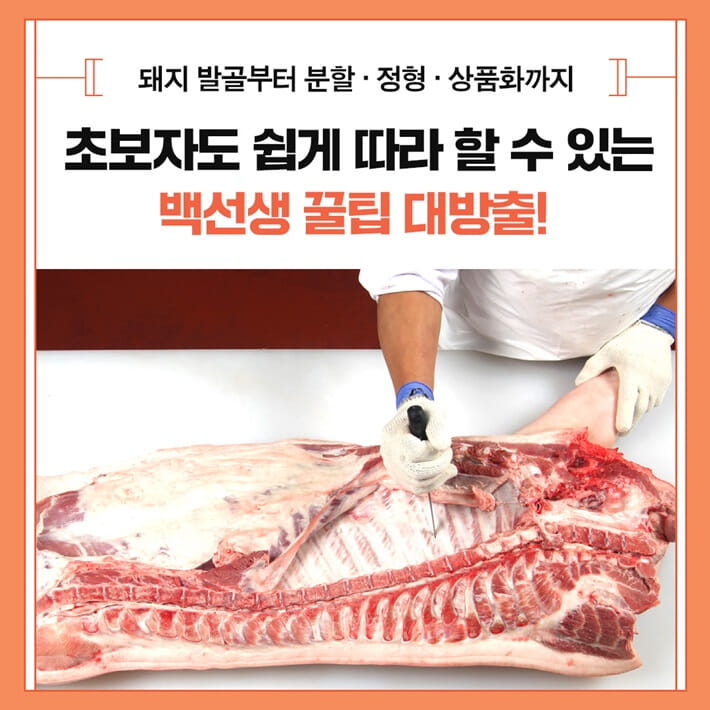 카드뉴스3