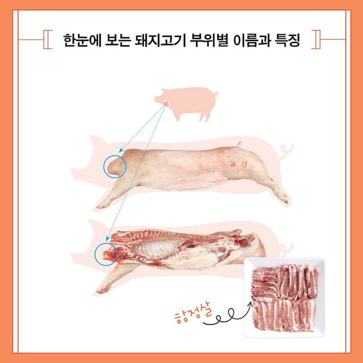 카드뉴스4