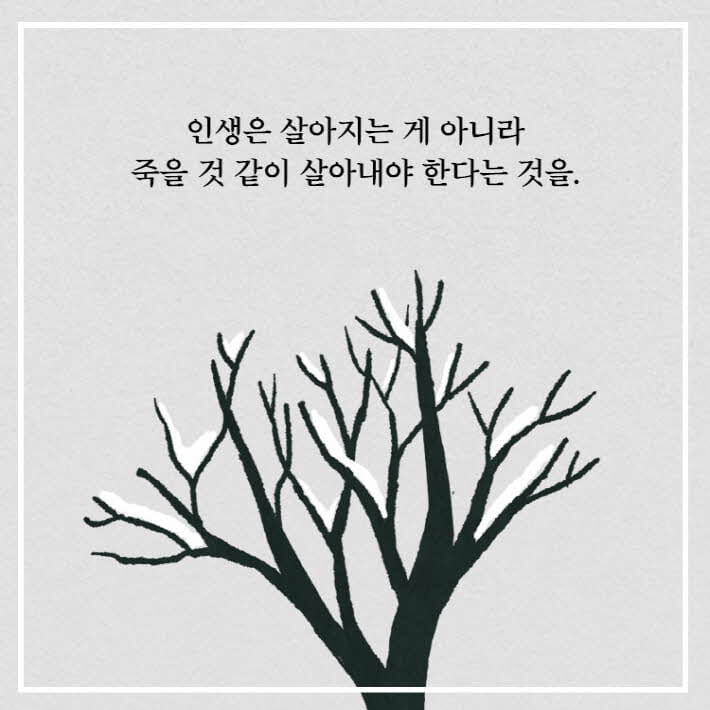 카드뉴스16