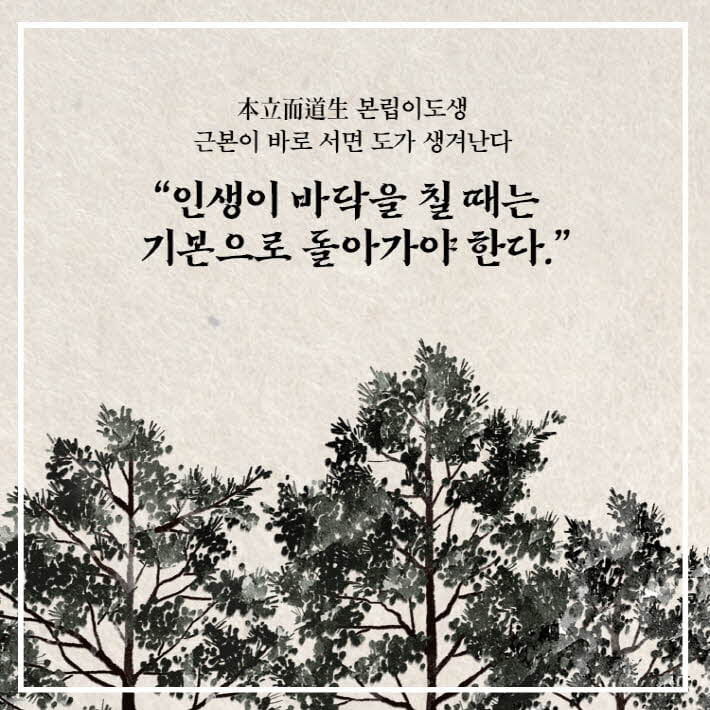 카드뉴스23