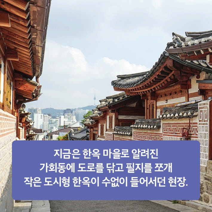 카드뉴스5