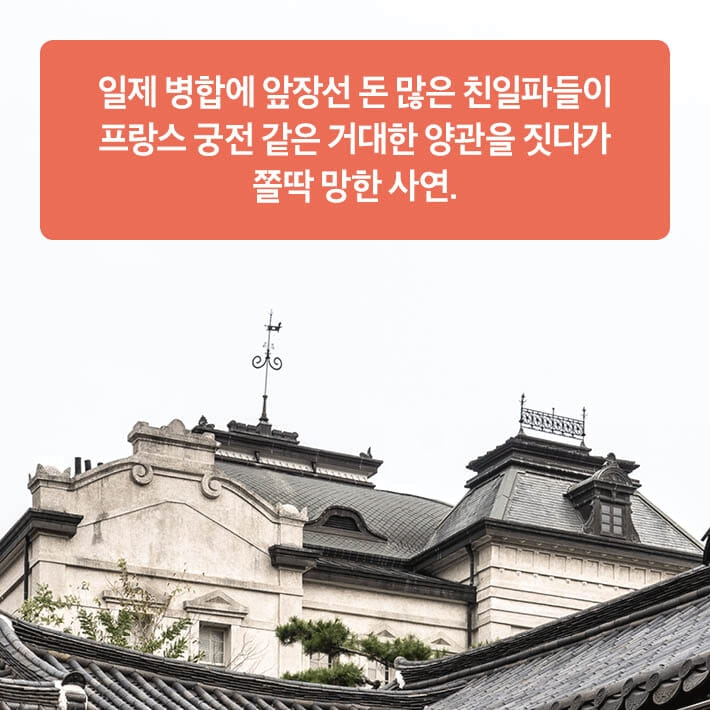 카드뉴스6