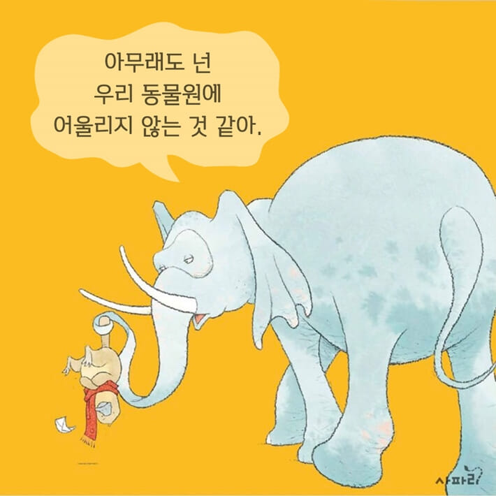 카드뉴스5
