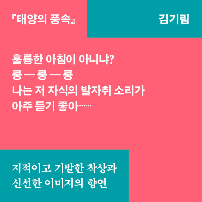 카드뉴스8