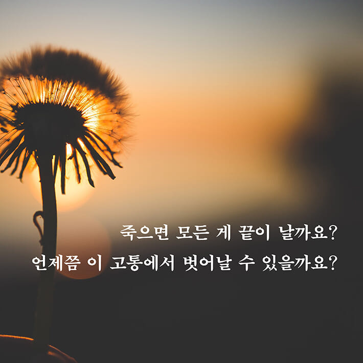 카드뉴스1