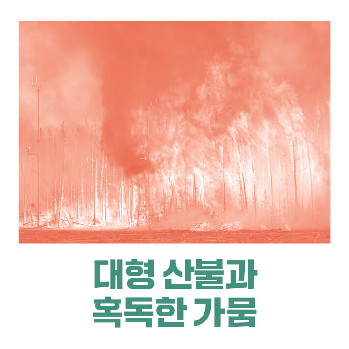 카드뉴스1